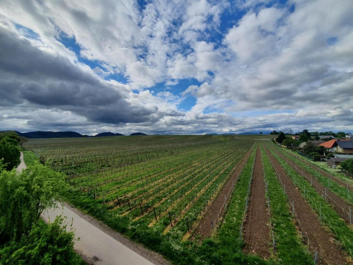 Weinseelig14 Landau in der Pfalz Exterior photo